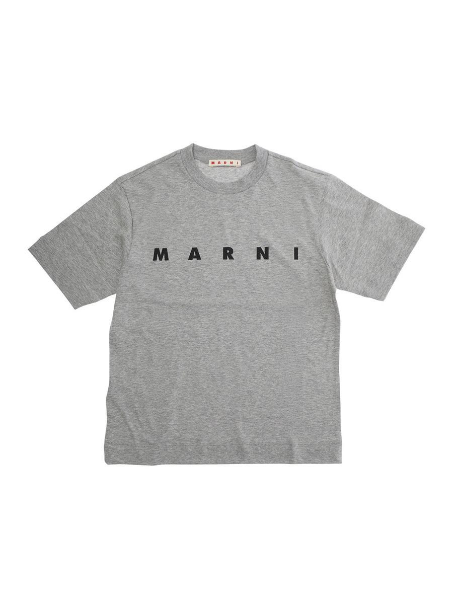 Crew-Neck T-Shirt, Grey Cotton T-shirts