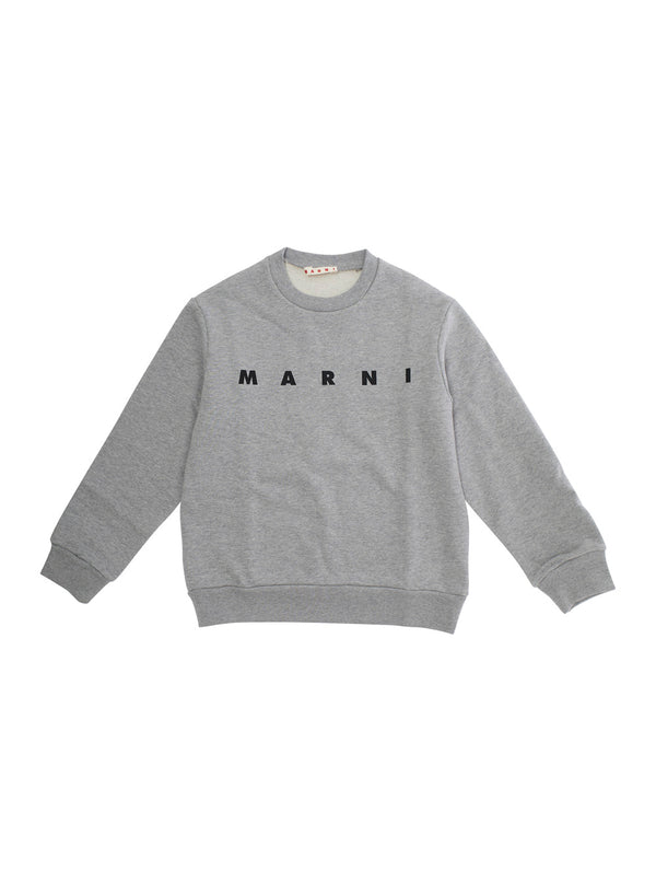 Kids Crewneck Sweatshirt Grey Cotton Hoods & Sweatshirts