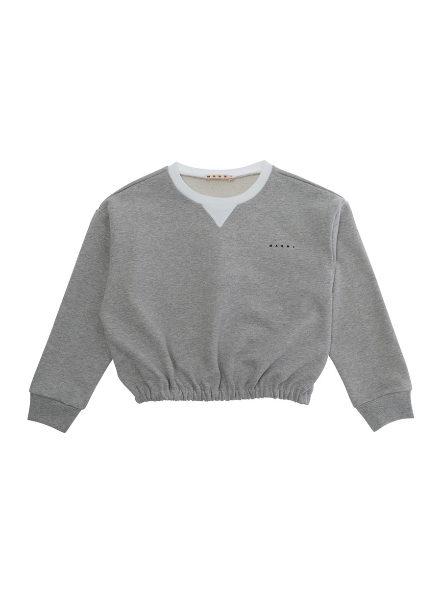 Long Sleeve Sweatshirt Grey Cotton Hoods & Sweatshirts
