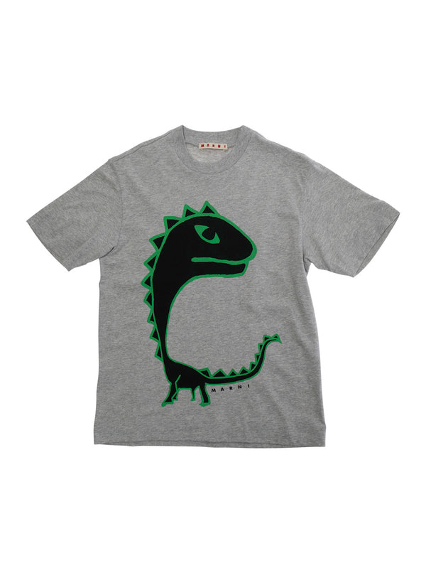 T-Shirt Round Neck Grey Cotton T-shirts