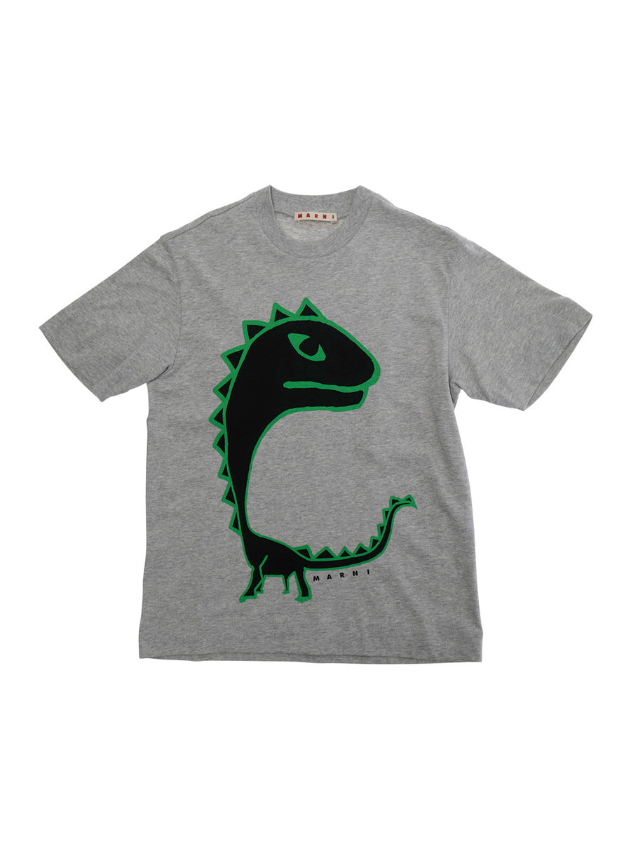 T-Shirt Round Neck Grey Cotton T-shirts