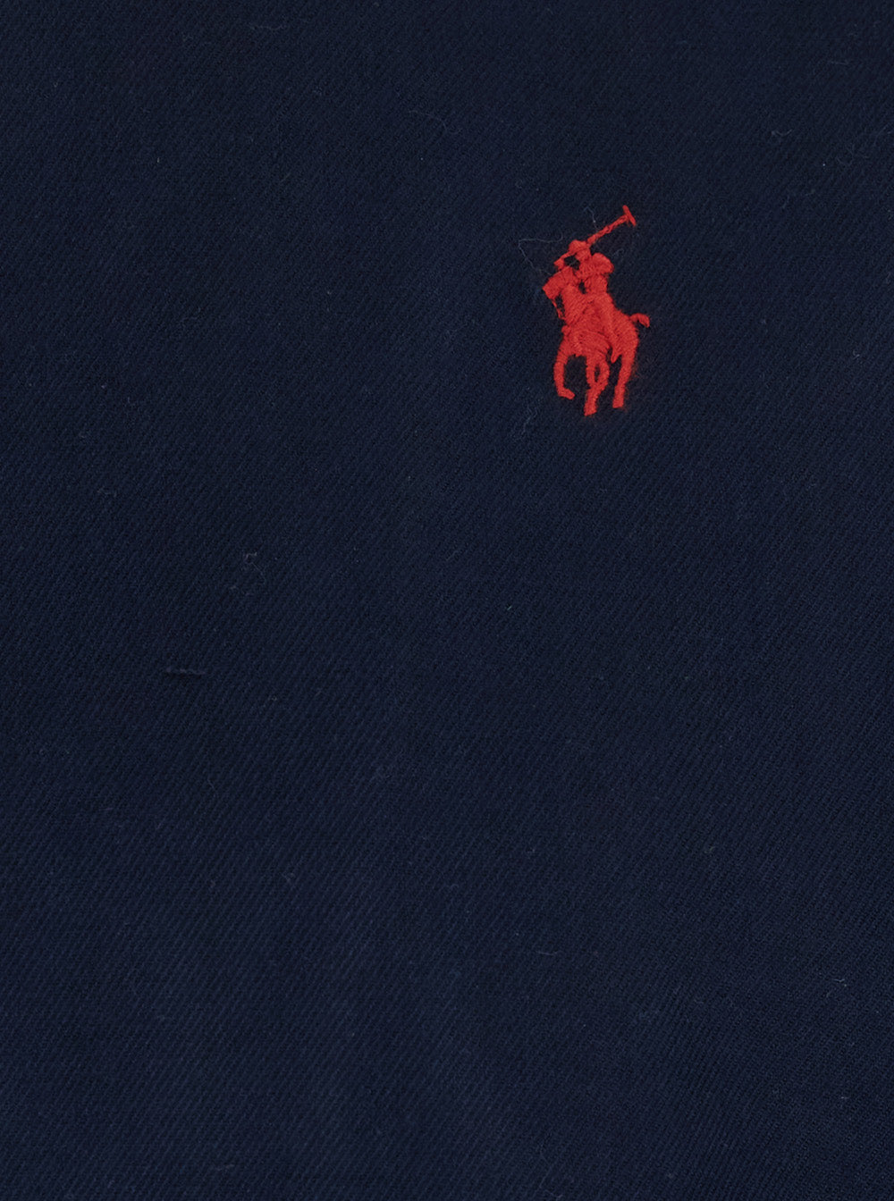 Blue Jacket with Front Closure and Pony Logo on the in Cotton Man Blu Outerwear