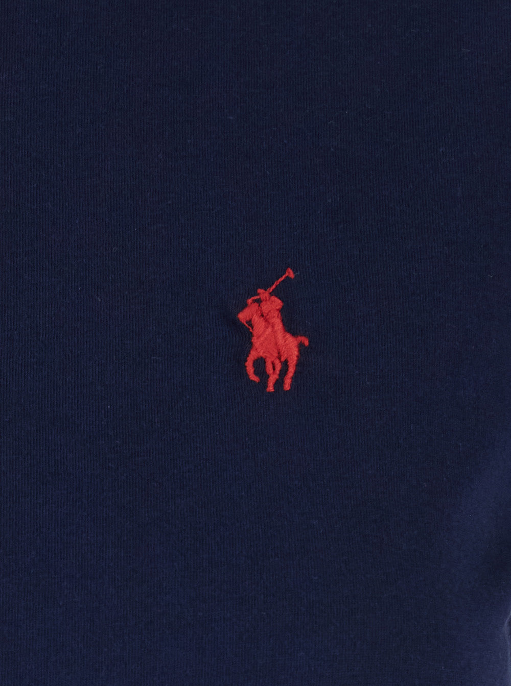 Blue T-Shirt with Pony Detail on the Front in Cotton Woman Blu Tshirts And Polo Shirts