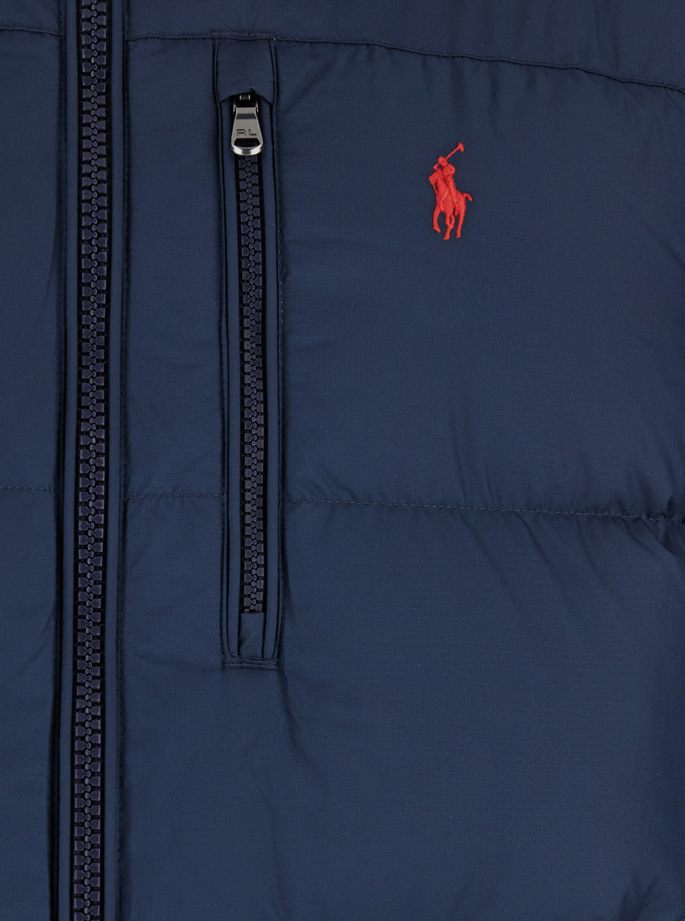 Blue Puffer Jacket with Fixed Hood and Embroidered Pony Logo on Chest in Tech Fabric for Men Blu Polyester Down