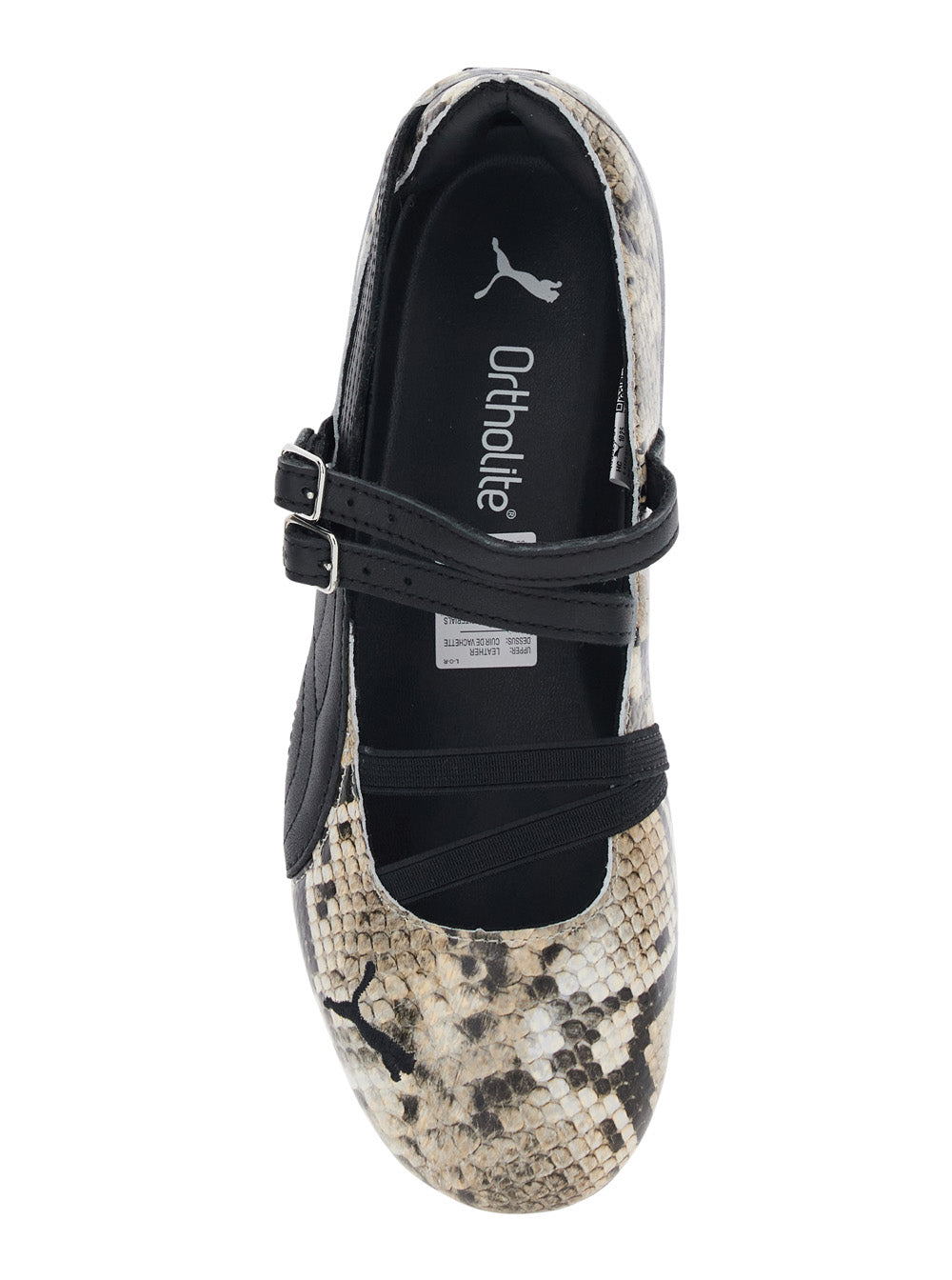 Ballet shoes SPEEDCAT SNAKE Multicolor in Leather Women Ballerinas