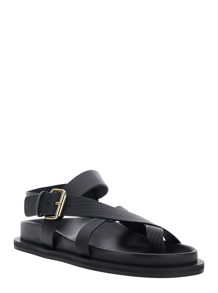 Elbert Sandals with Woven Straps and Leather Buckle Closure Black Women Cow Flat Shoes