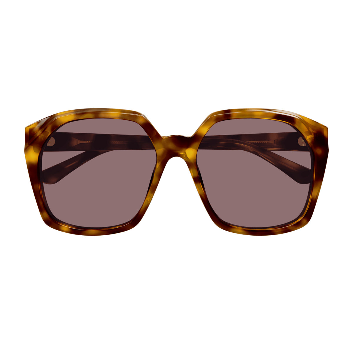 Chloé CH0280S Linea 004 Havana Violet Marrone Acetate Occhiali Da Sole