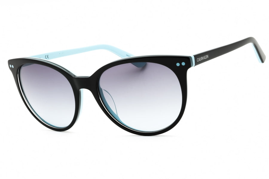 Calvin Klein Ck18509sg Sunglasses Black