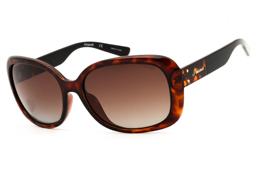 Polaroid Core Pld 4069-G-S-X Sunglasses Brown