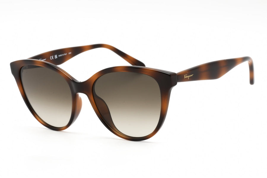 Salvatore Ferragamo Sf1073s Sunglasses Brown