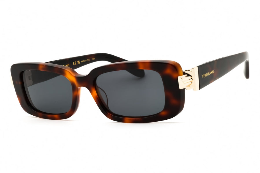 Salvatore Ferragamo Sf1105s Sunglasses Brown