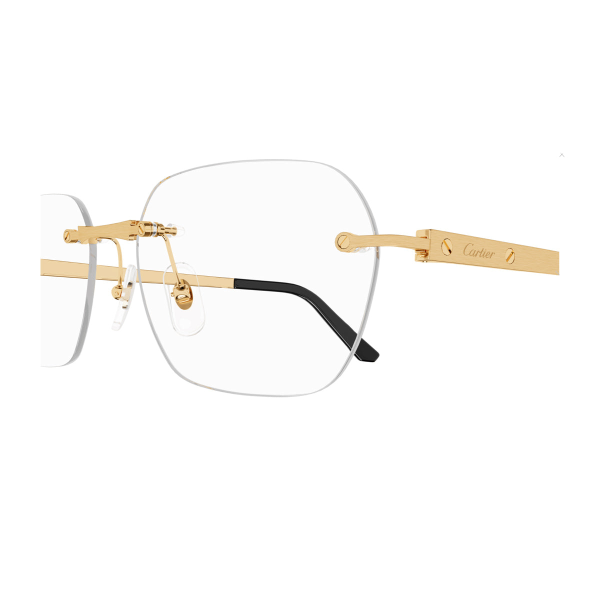 CT0407O 001 Oro Titanium Occhiali Vista