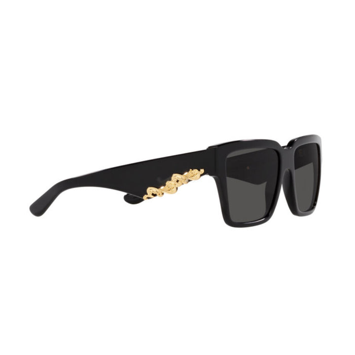 DG4436 501-87 Nero Celluloid Occhiali Sole