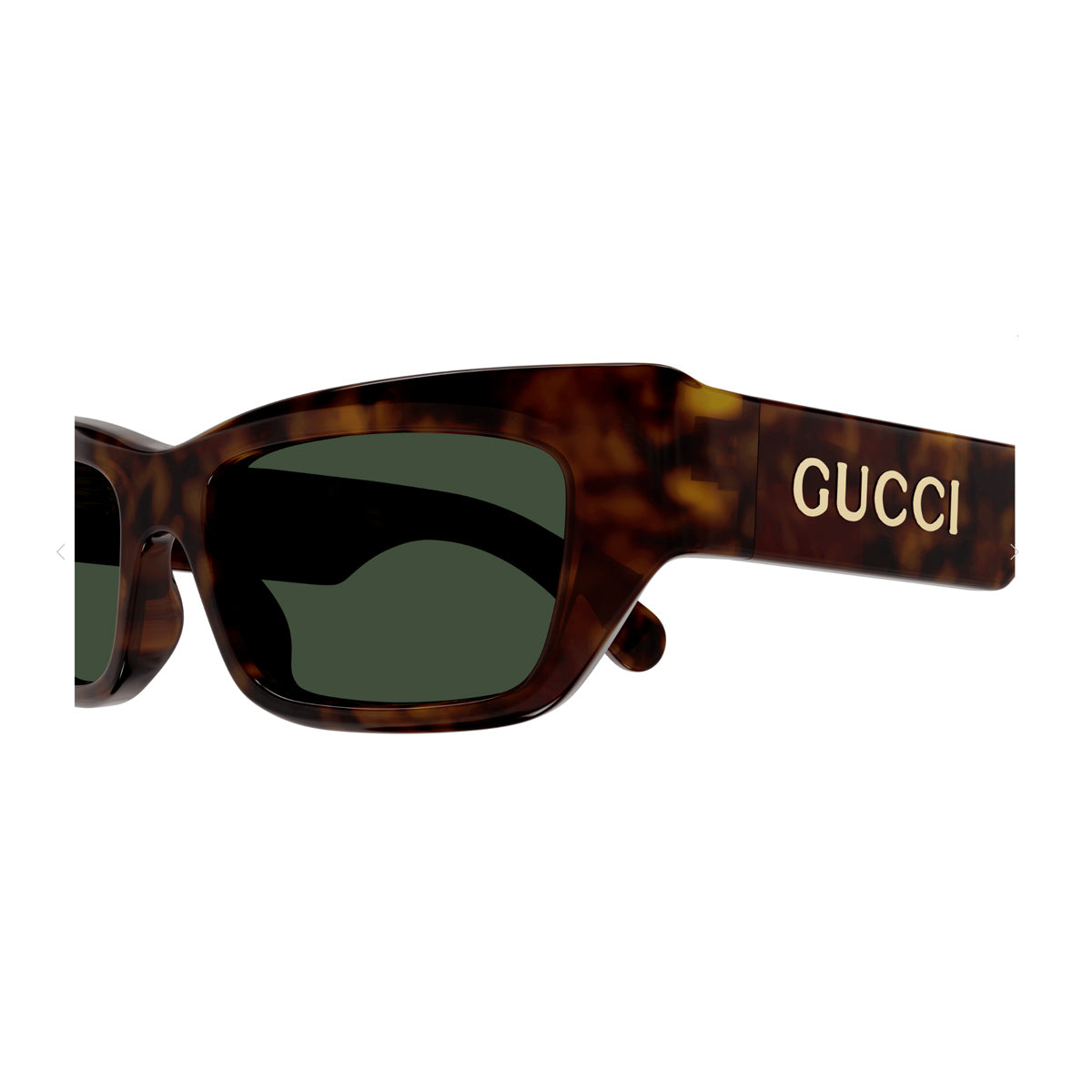GG1296S Marrone Celluloid Occhiali Sole