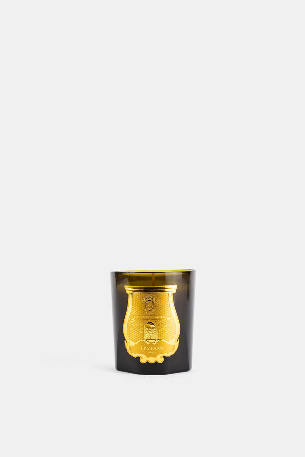 Trudon candle in green