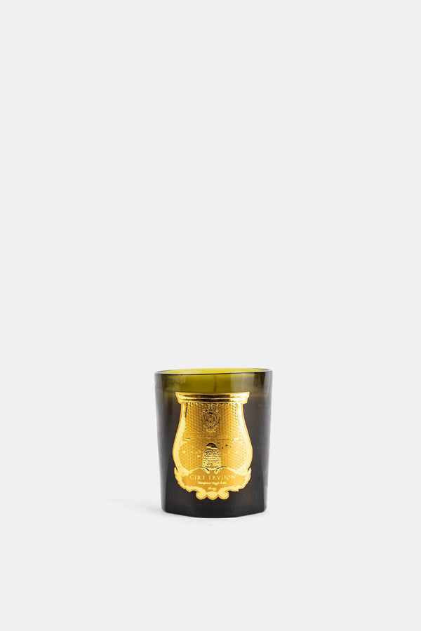 Trudon Vegetable wax candle in green