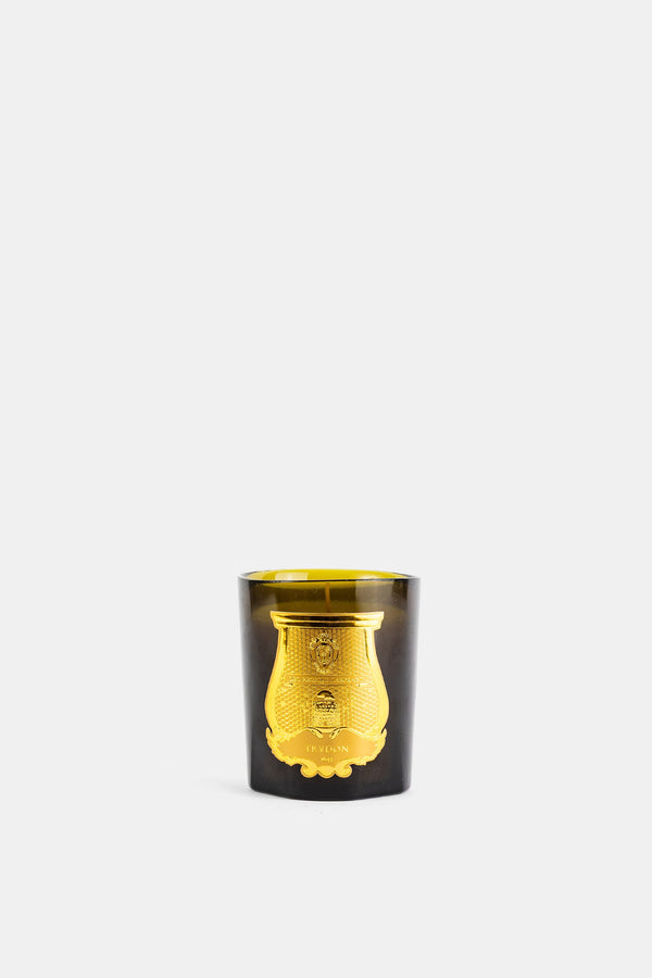 Trudon candle in green