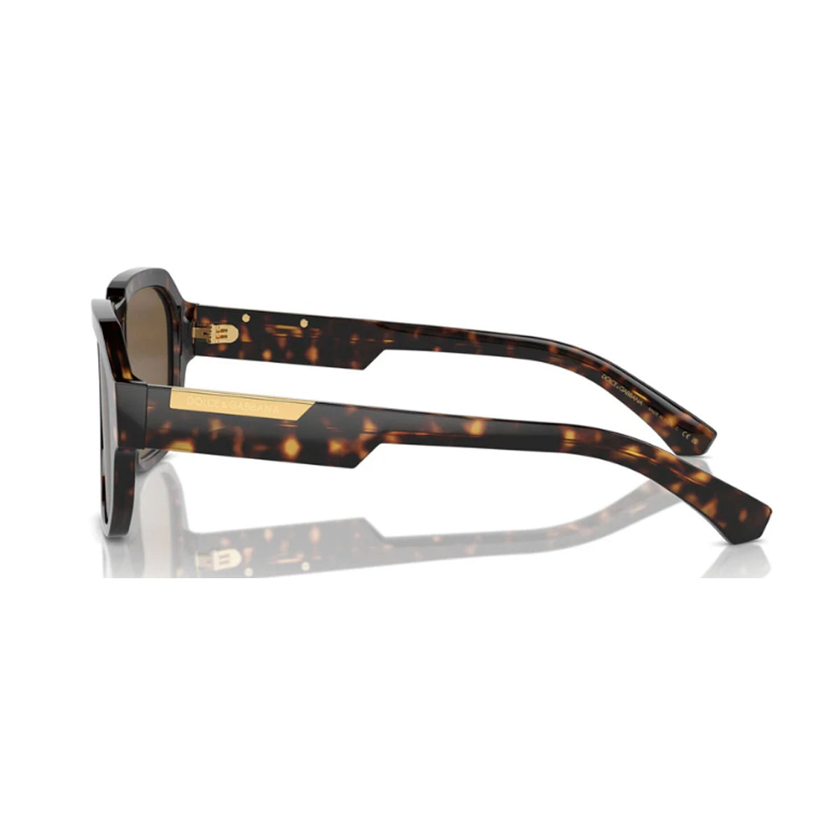 DG4464 Linea MIRROR LOGO 502-73 Havana Marrone Acetate Occhiali Sole