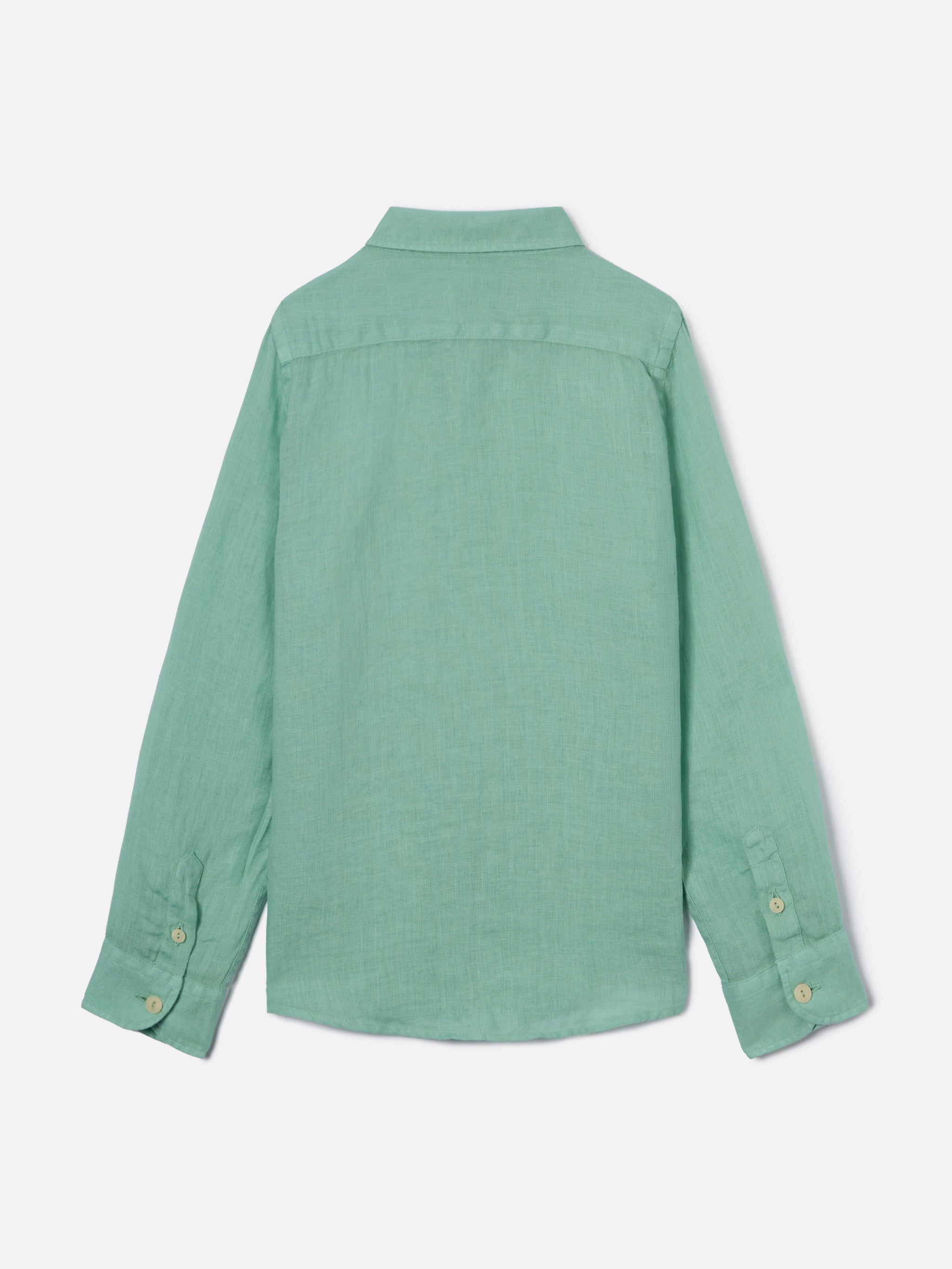 Sage Green Agnes Shirt In Linen __single__