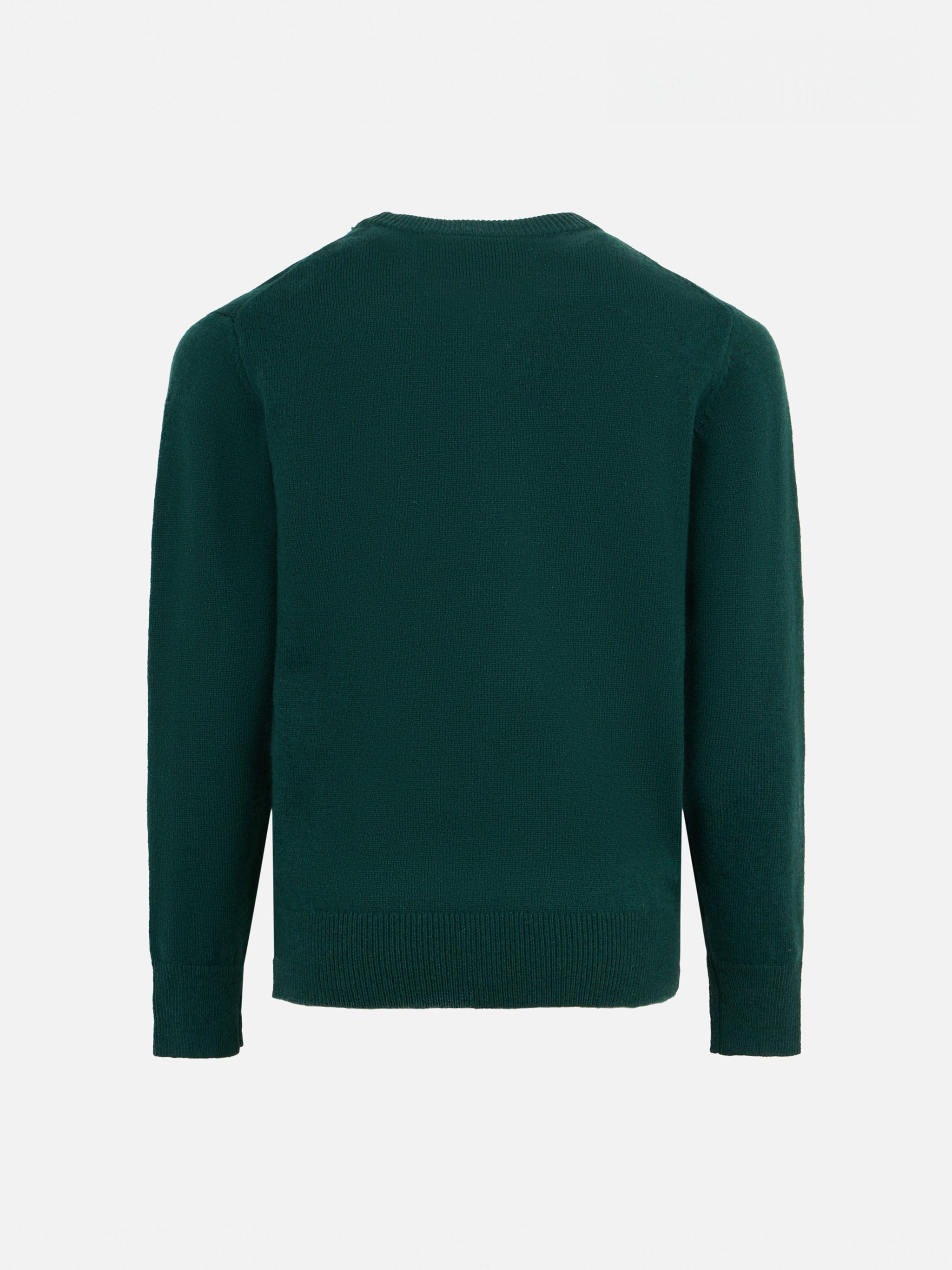 Boy Crewneck Sweater With Snoopy Print And St. Barth Bob Club Embroidery| - Peanuts™ Special Edition Green