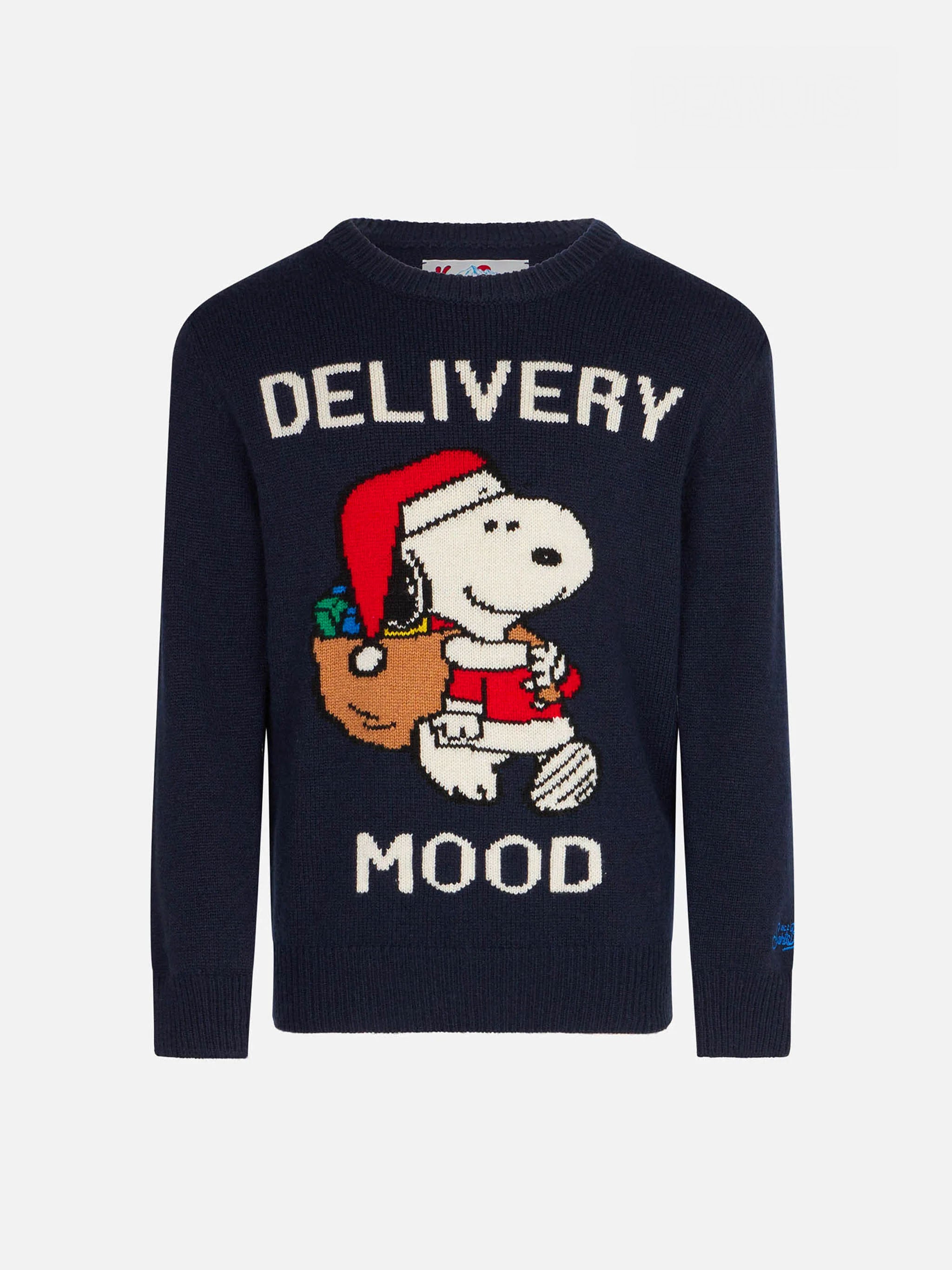 Boy Crewneck Sweater With Christmas Snoopy Print | Peanuts™ Special Edition Blue