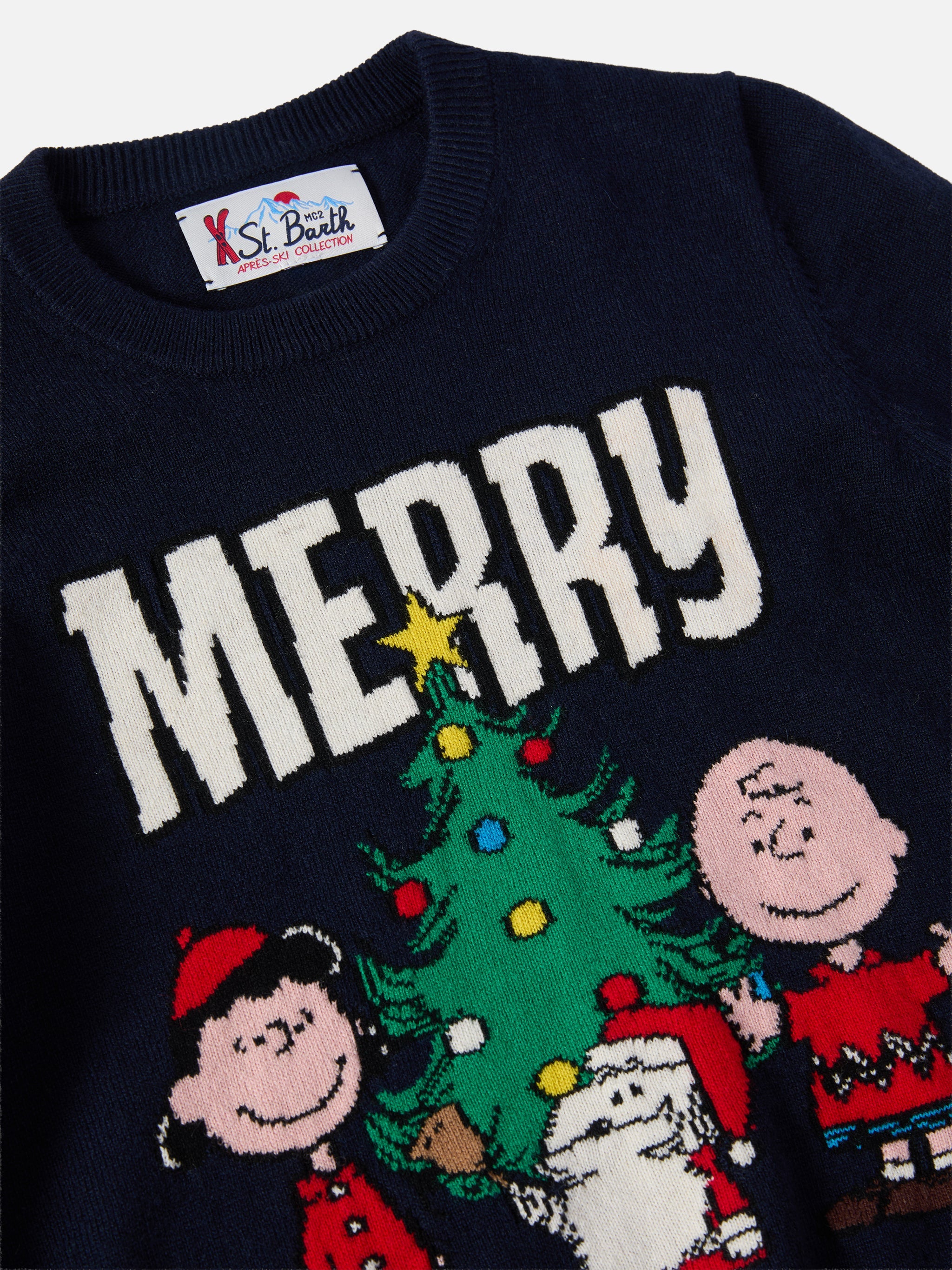 Crewneck Douglas Cashmere Blend With Peanuts Jacquard | Special Edition Blue