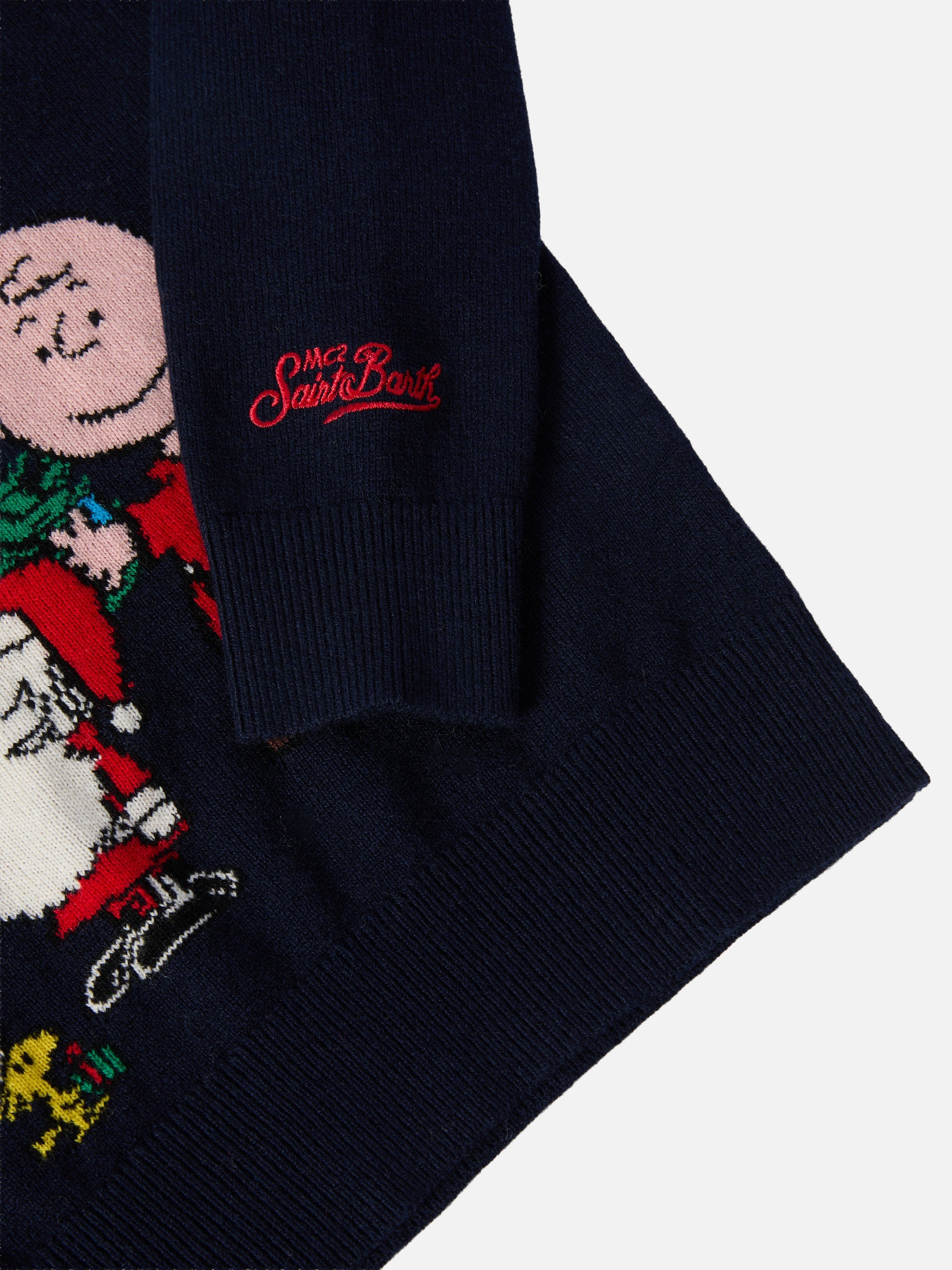 Crewneck Douglas Cashmere Blend With Peanuts Jacquard | Special Edition Blue