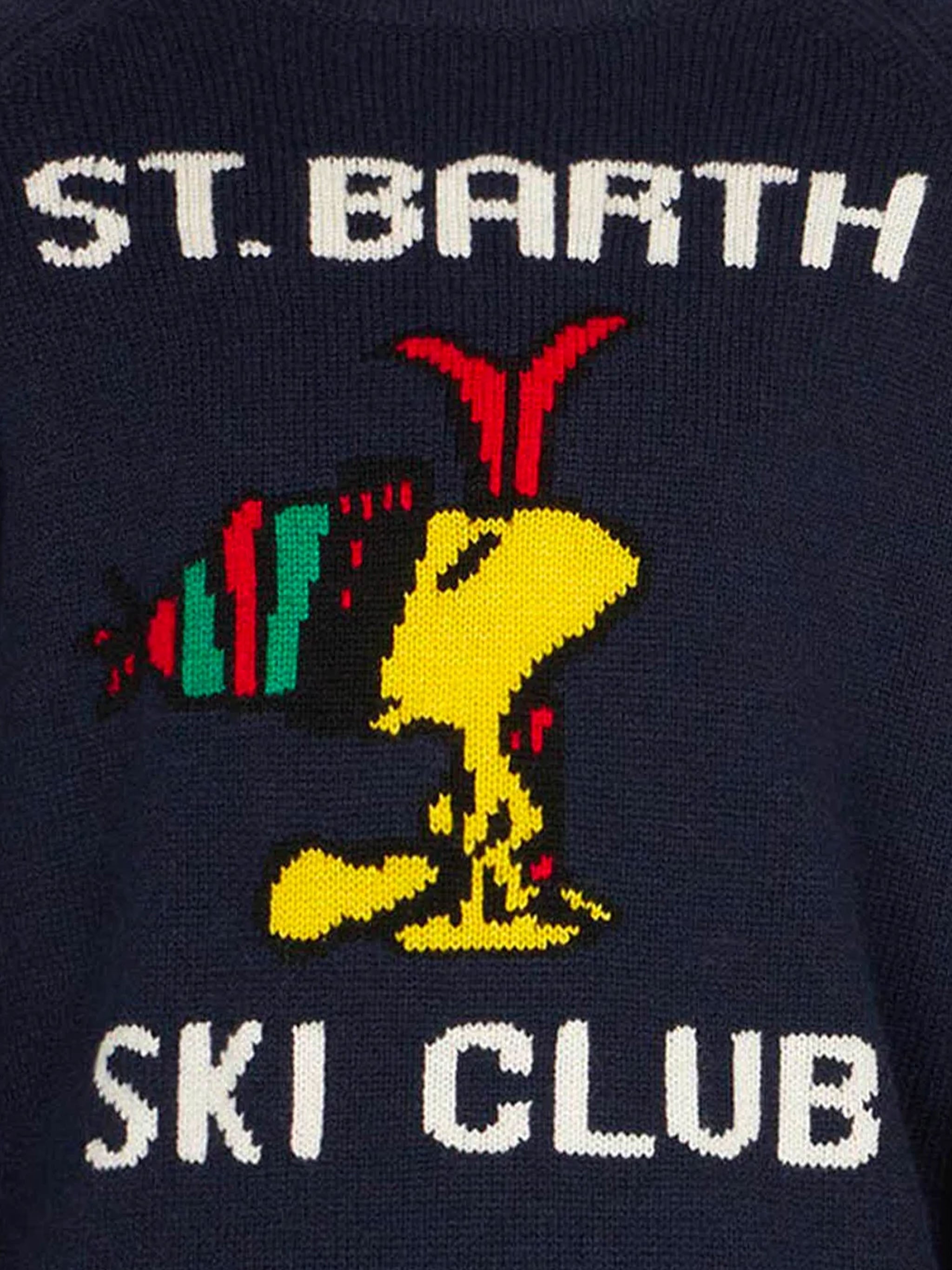 Boy Crewneck Sweater With Woodstock Print | - Peanuts™ Special Edition Blue