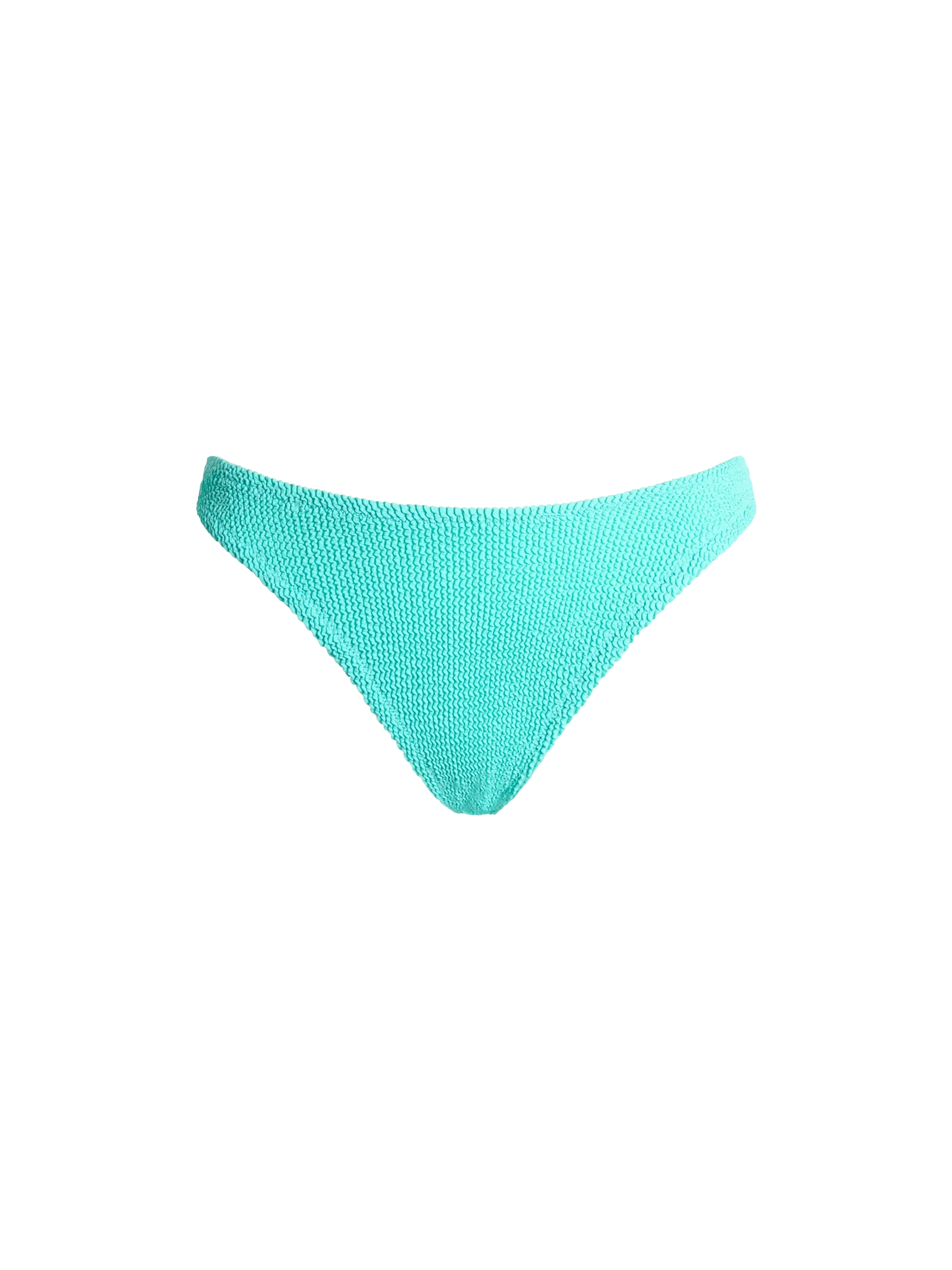 Elise Water Green Crinkle Swim Briefs Bottom