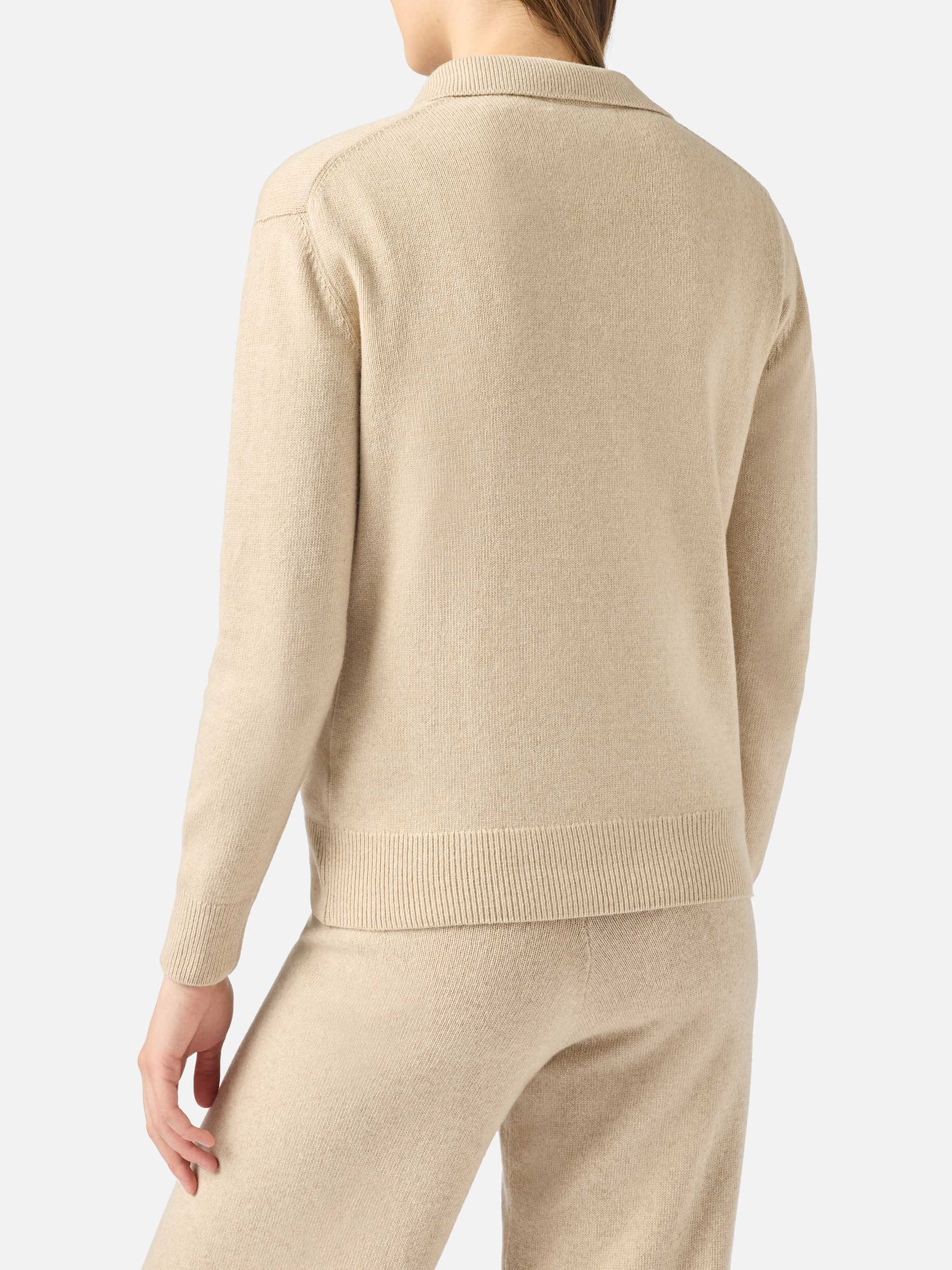 Beige Eze Blended Cashmere Sweater With Polo Collar Brown