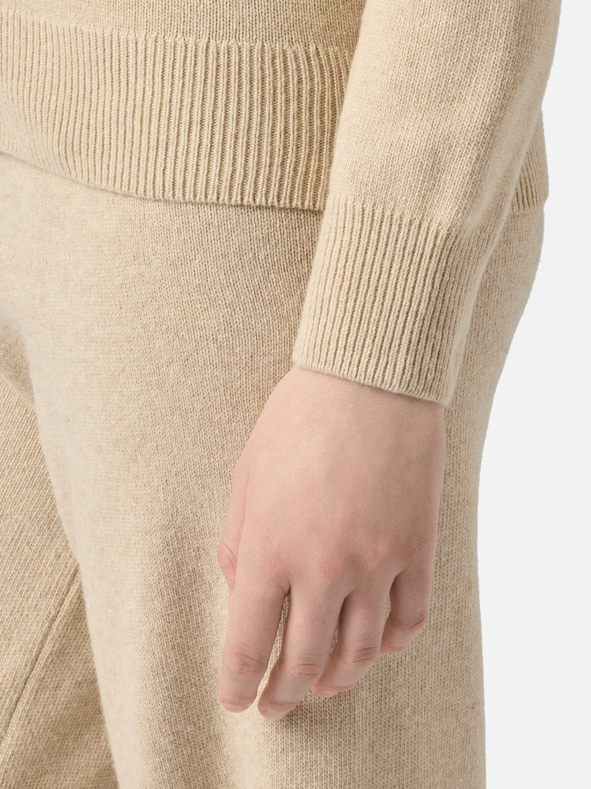 Beige Eze Blended Cashmere Sweater With Polo Collar Brown