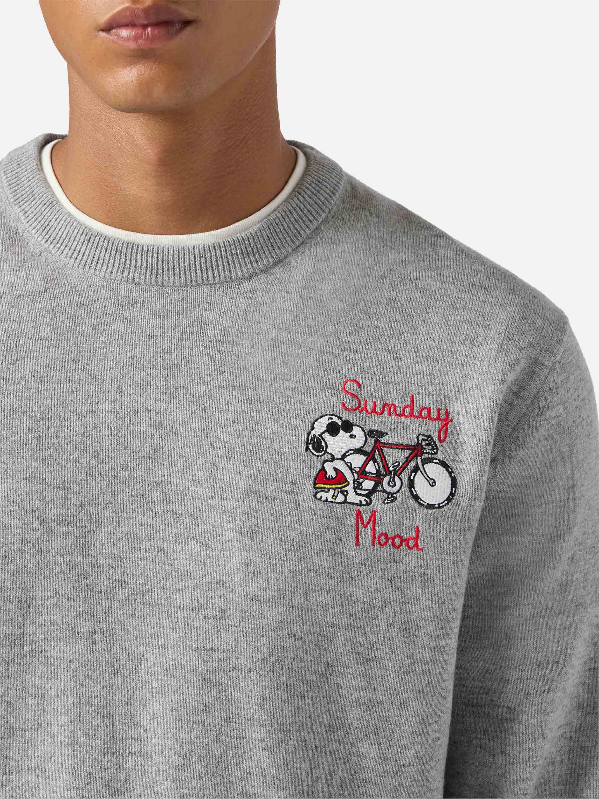 Crewneck Sweater Heron Light With Snoopy Sunday Mood Embroidery | Peanuts Special Edition Grey