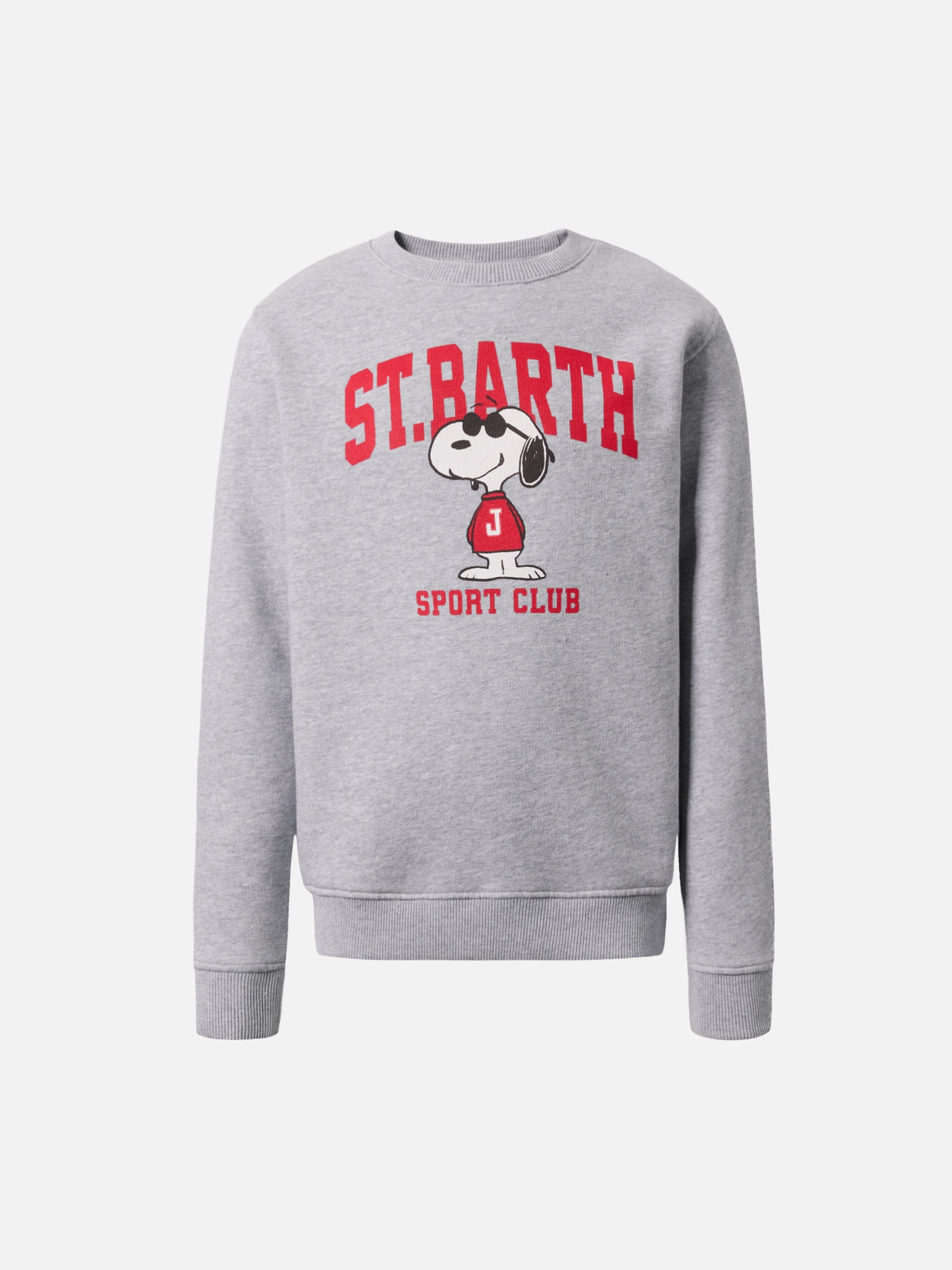 Hutton Crewneck Sweatshirt With Snoopy Print | Peanuts Special Edition Grey
