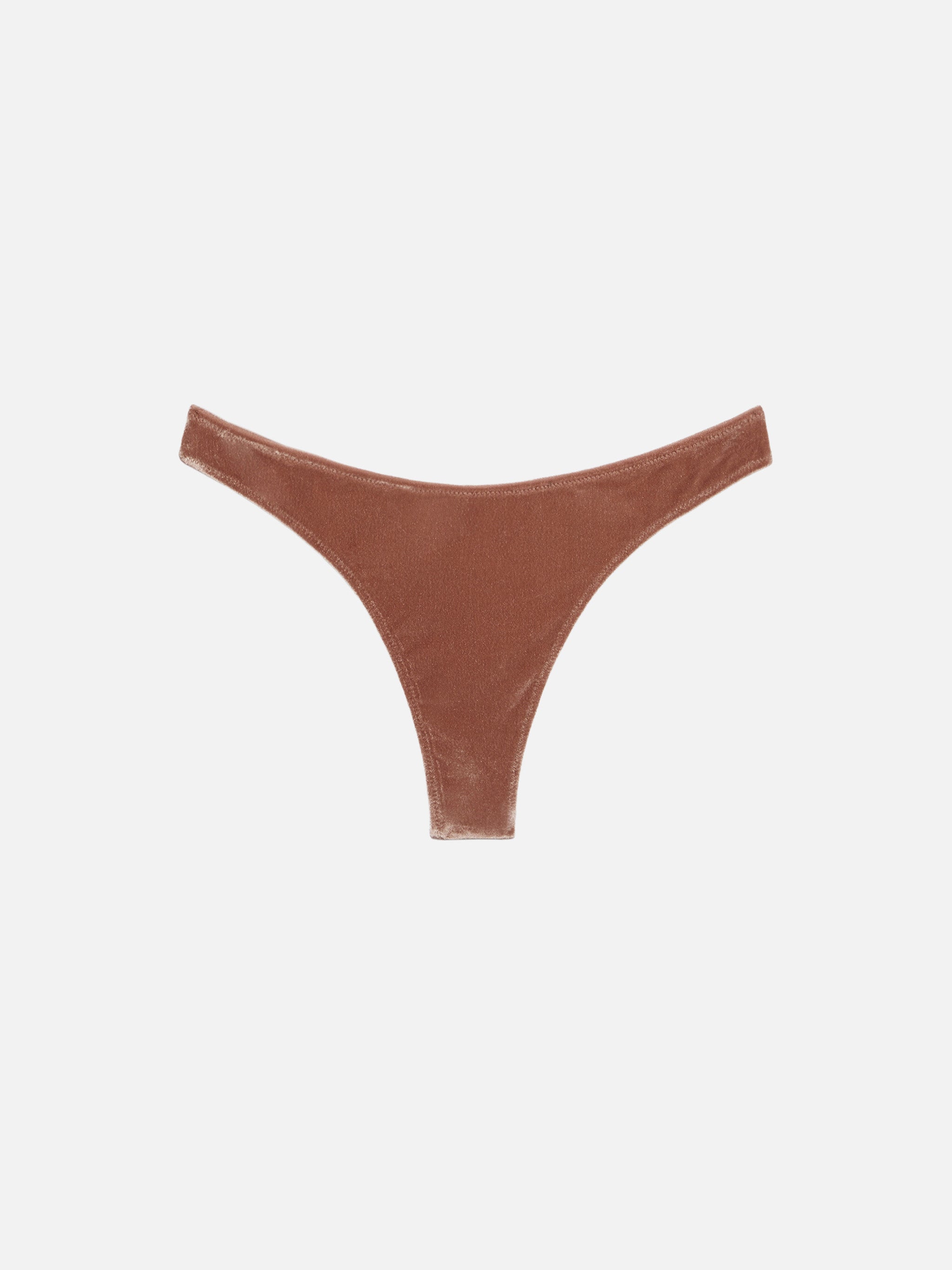 Naomi Camel Brown Velvet Cheeky Swim Briefs Bottom