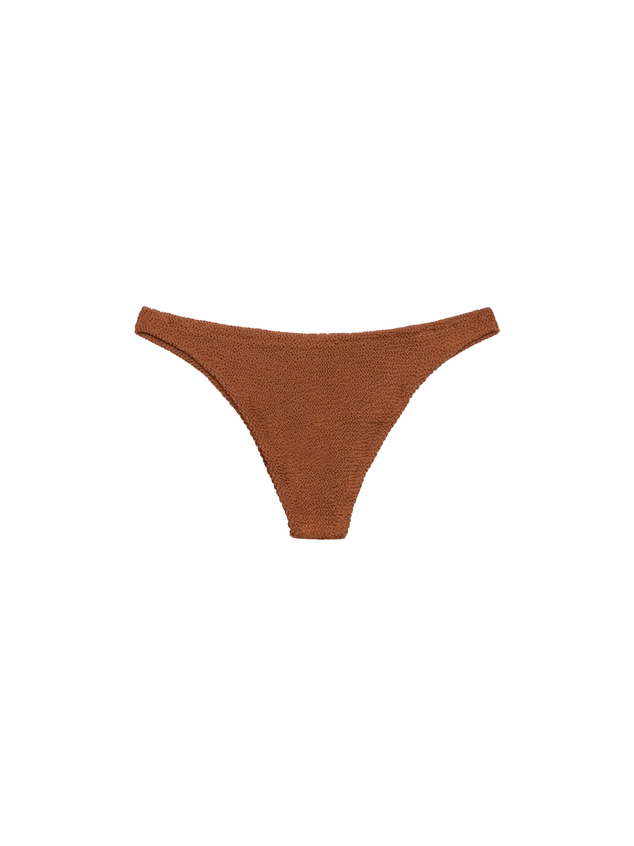 Naomi Camel Brown Crinkle Cheeky Swim Briefs Bottom