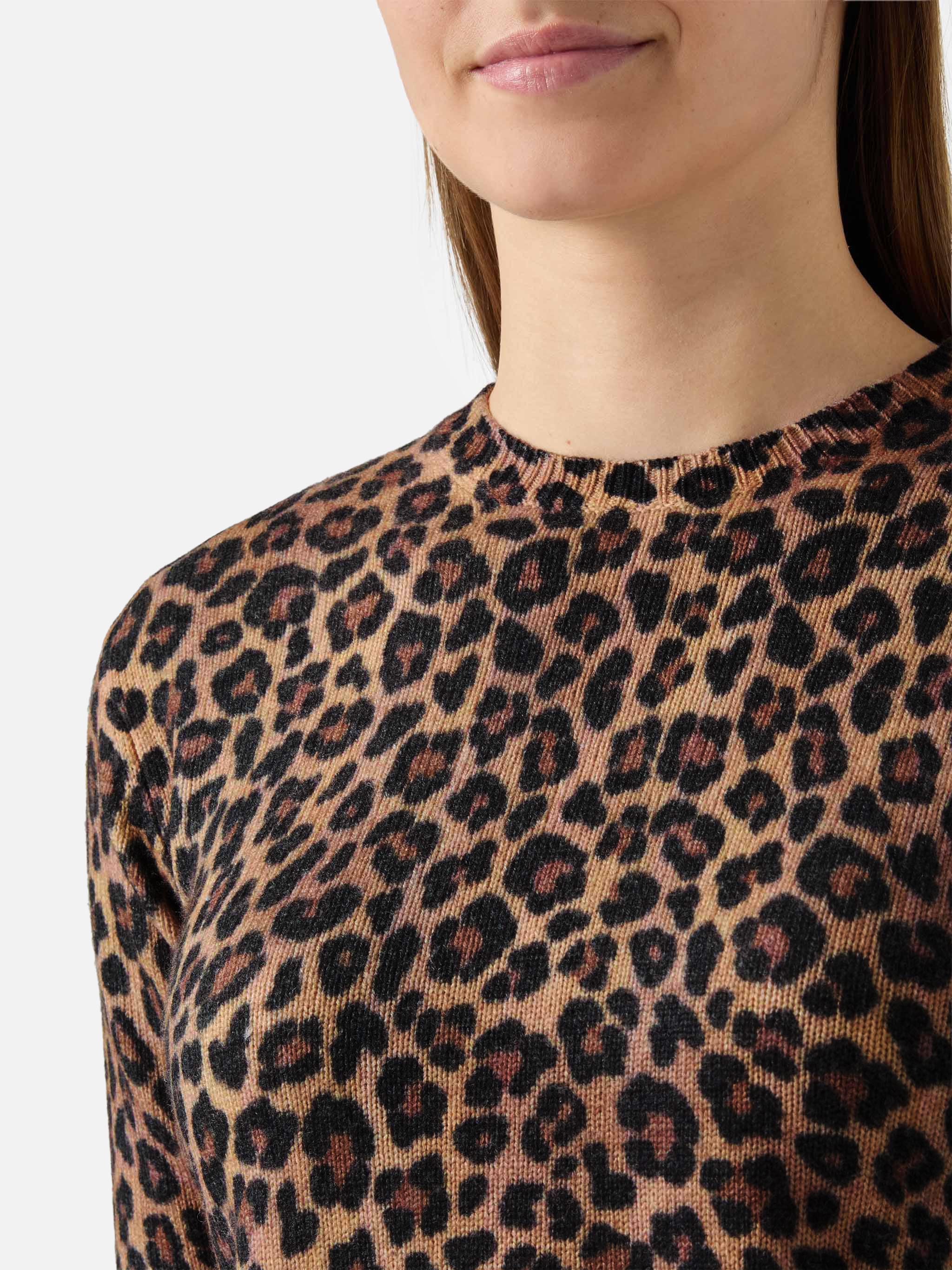 New Queen Crewneck With Animalier Print Brown