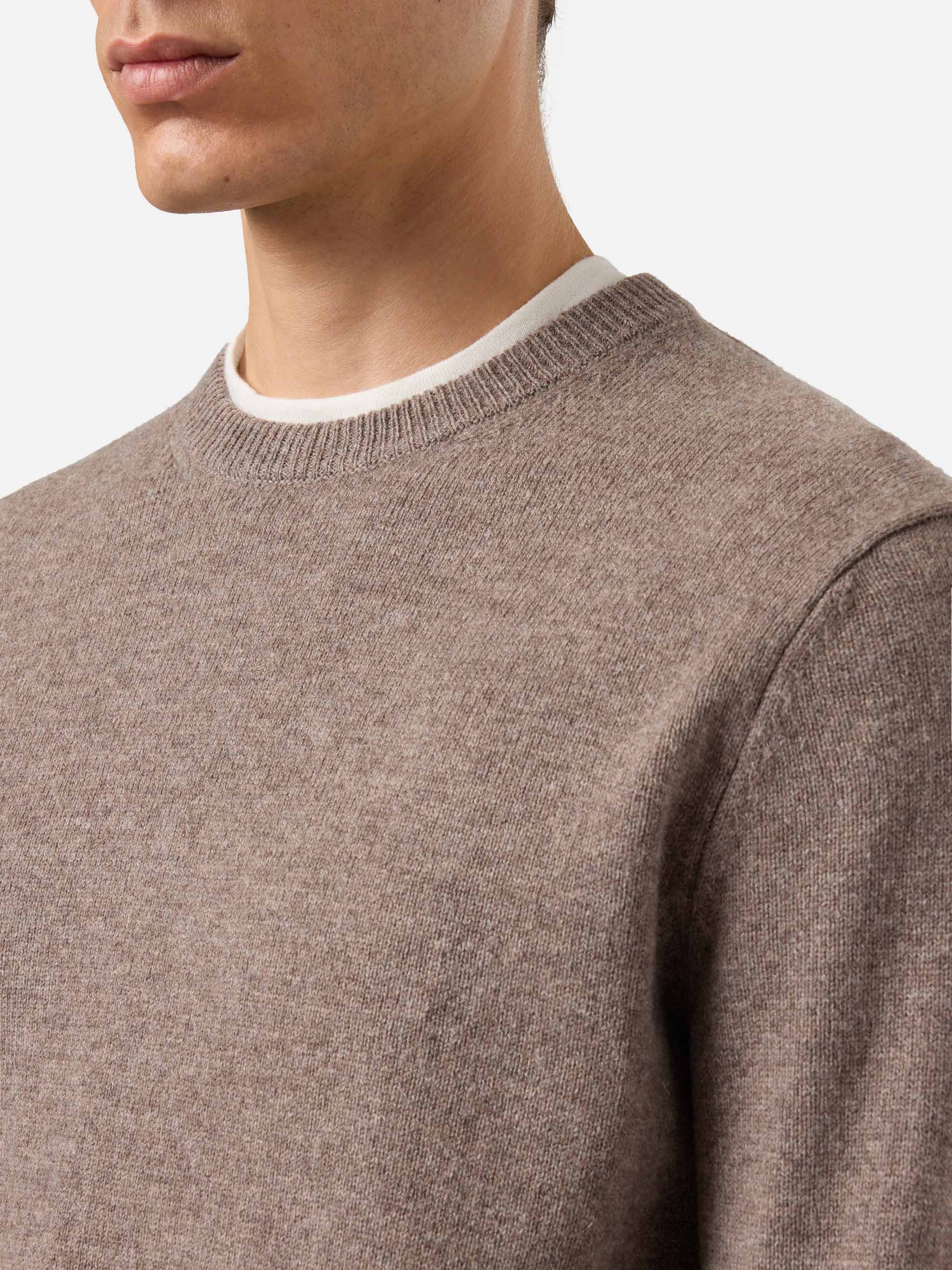 Regent 100% Lambswool Sweater In Nut Brown __single__ Knitwear