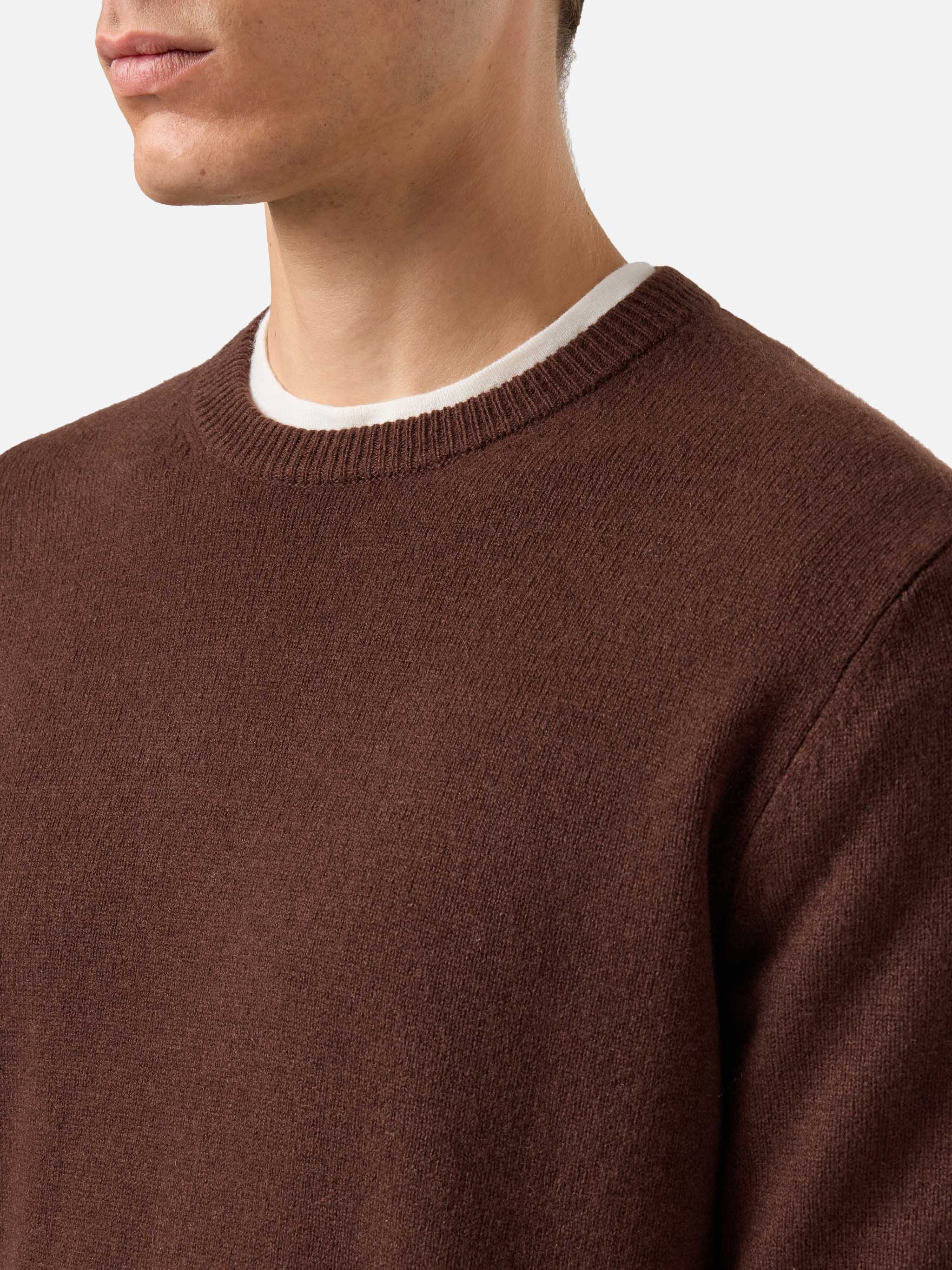 Regent 100% Lambswool Sweater In Brown __single__ Knitwear