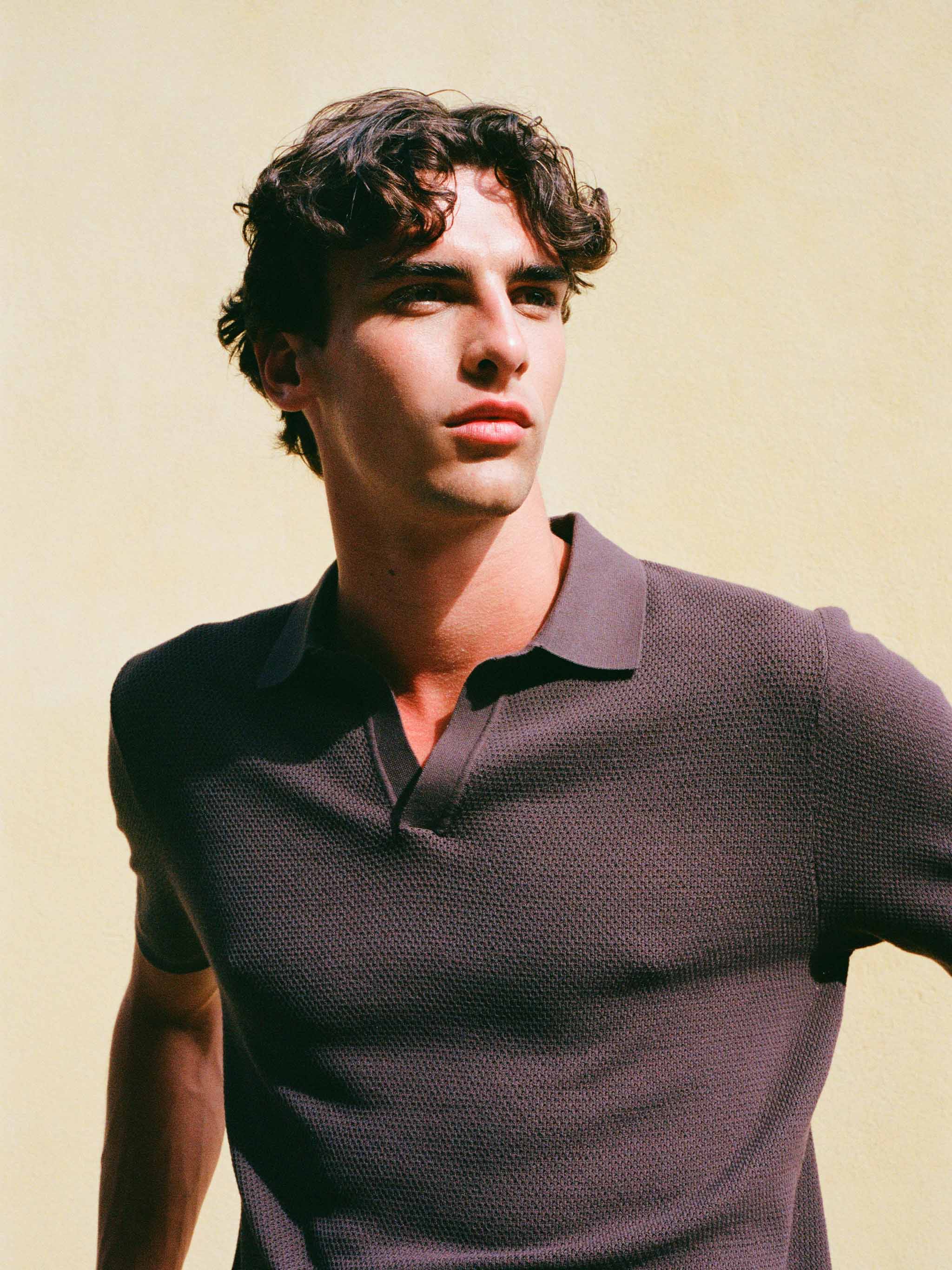 Sloan Brown Buttonless Mesh Knitted Polo Shirt Knitwear