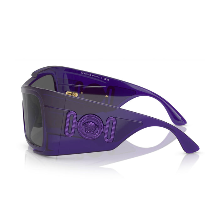 VE4451 541987 Viola Celluloid Occhiali Sole
