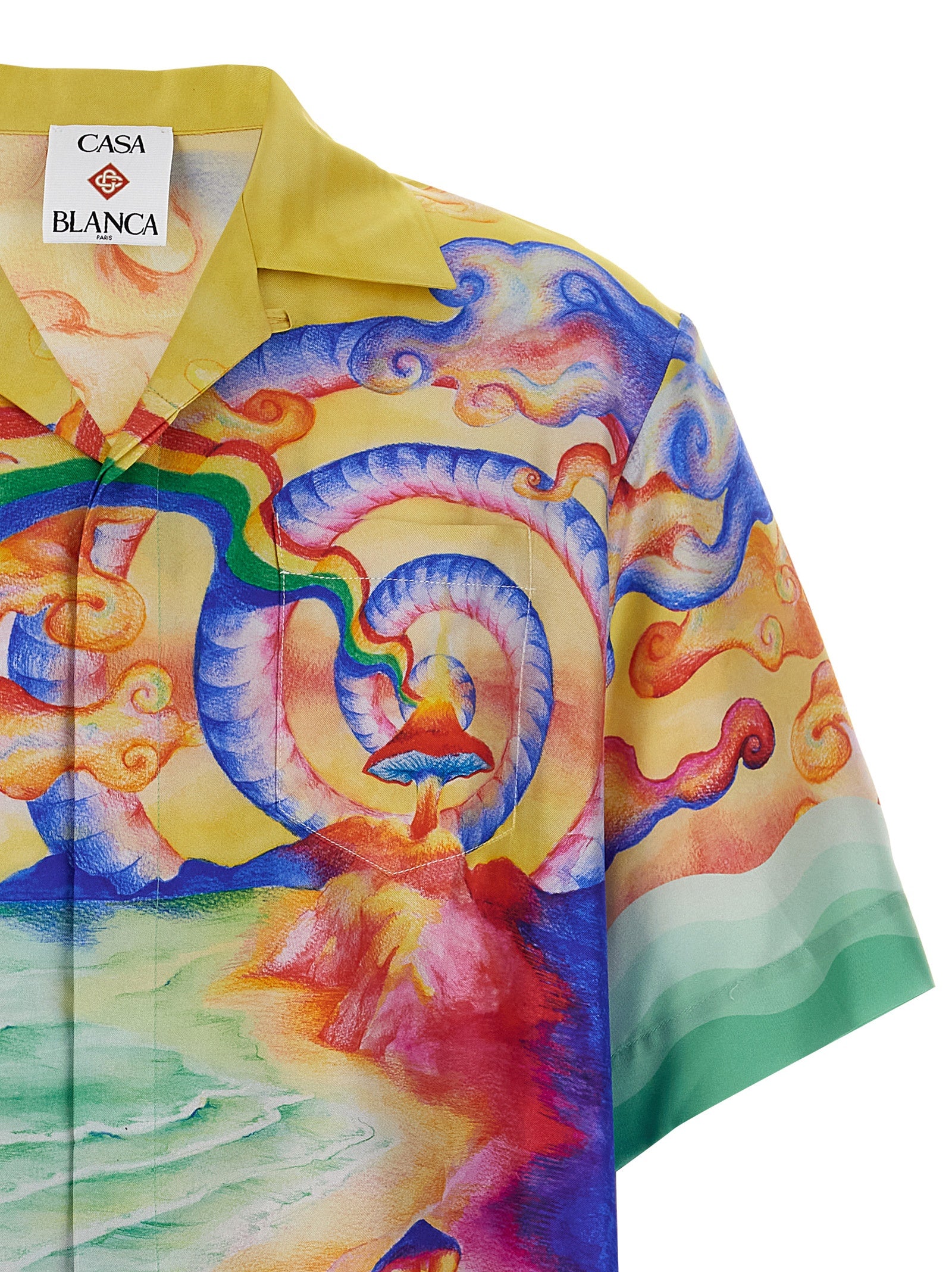 Nature Teacher shirt Multicolor Silk Shirt, Blouse