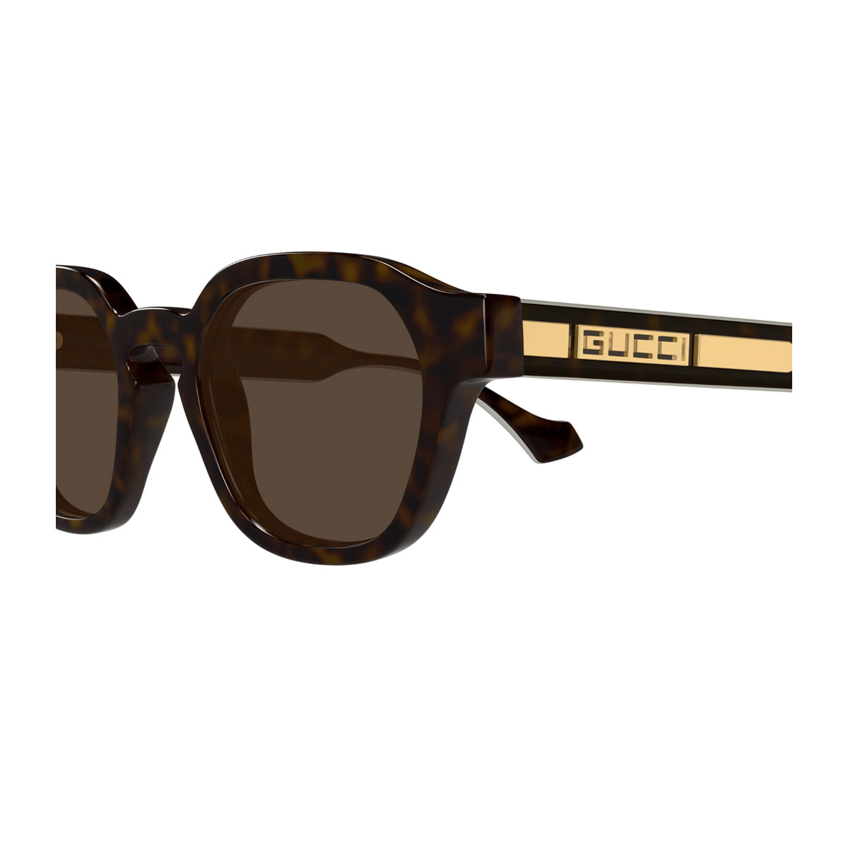 GG1730S Linea Lettering 002 Havana Yellow Brown Marrone Injected Occhiali Da Sole