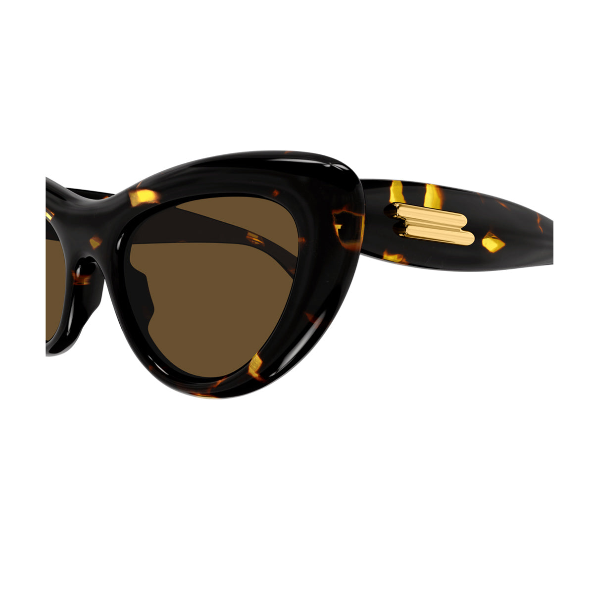 BV1282S LINE NEW CLASSIC 002 Havana Brown Marrone Recycled Acetate Occhiali Da Sole