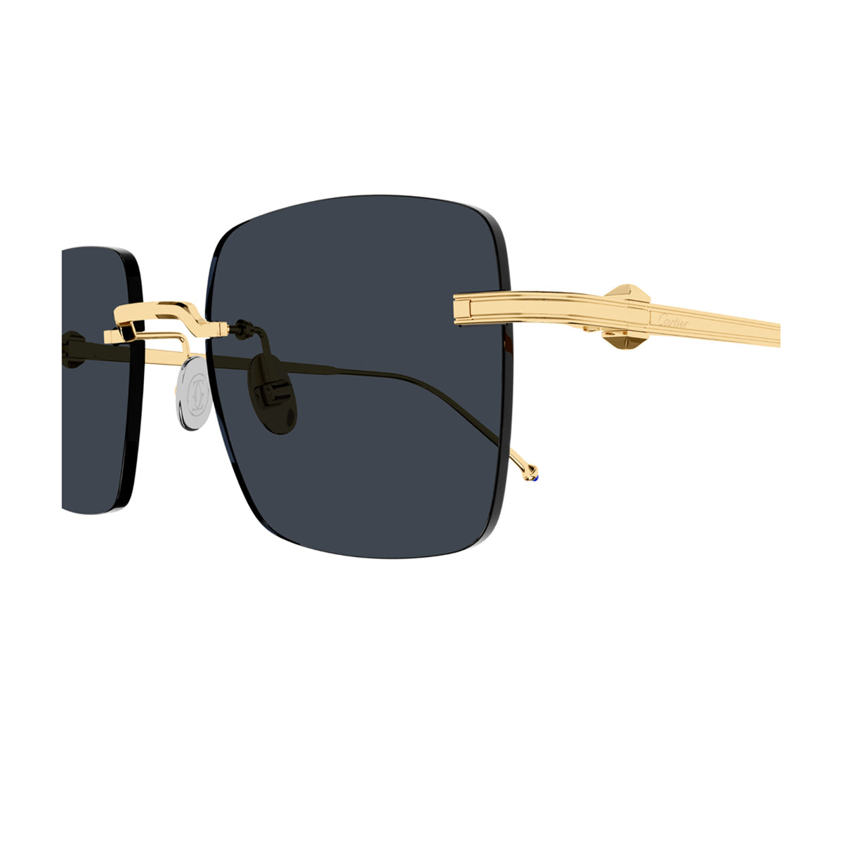 CT0403S 002 Oro Titanium Occhiali Sole