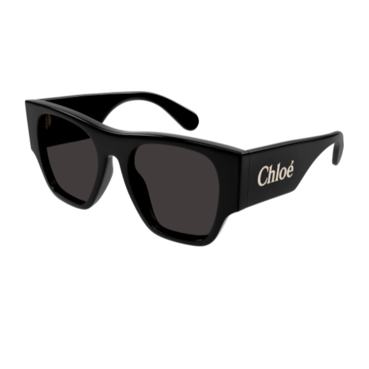 Chloé CH0233S Linea 001 Black Grey Nero Acetate Occhiali Da Sole