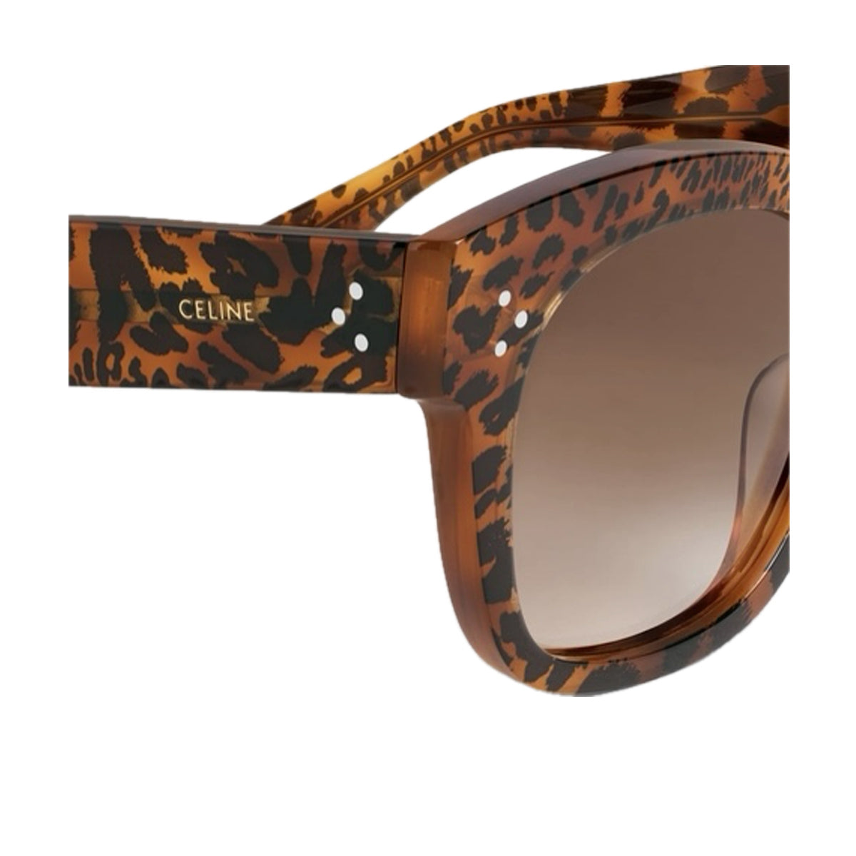 CL4002UN BOLD 3 DOTS 99f HAVANA LEOPARDATO Marrone Acetate Occhiali Sole
