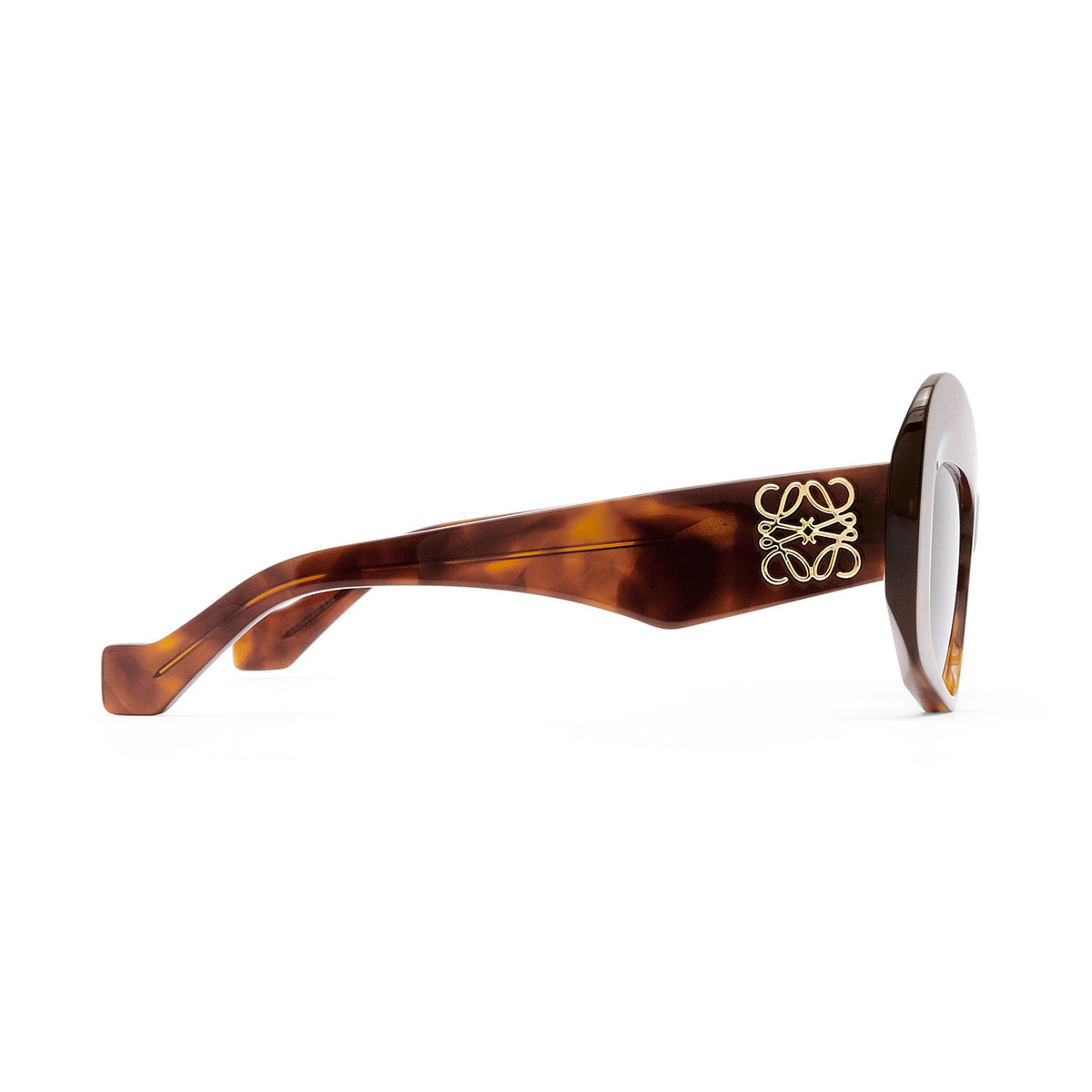 LW40128I ANAGRAM 53v Marrone Acetate Occhiali Sole