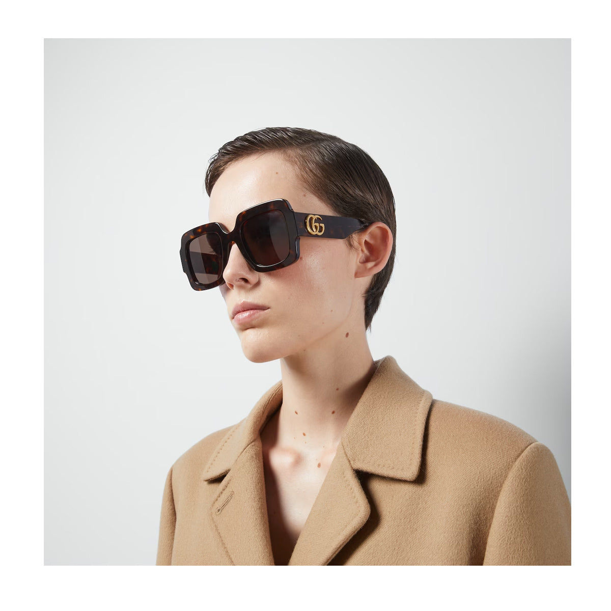 GG1547S 002 Marrone Acetate Occhiali Sole