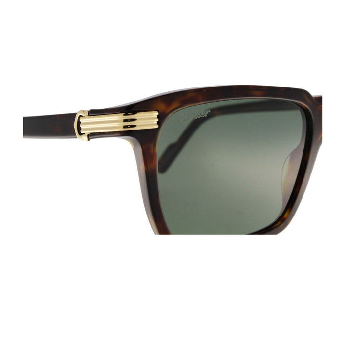 CT0220S Marrone Celluloid Occhiali Sole