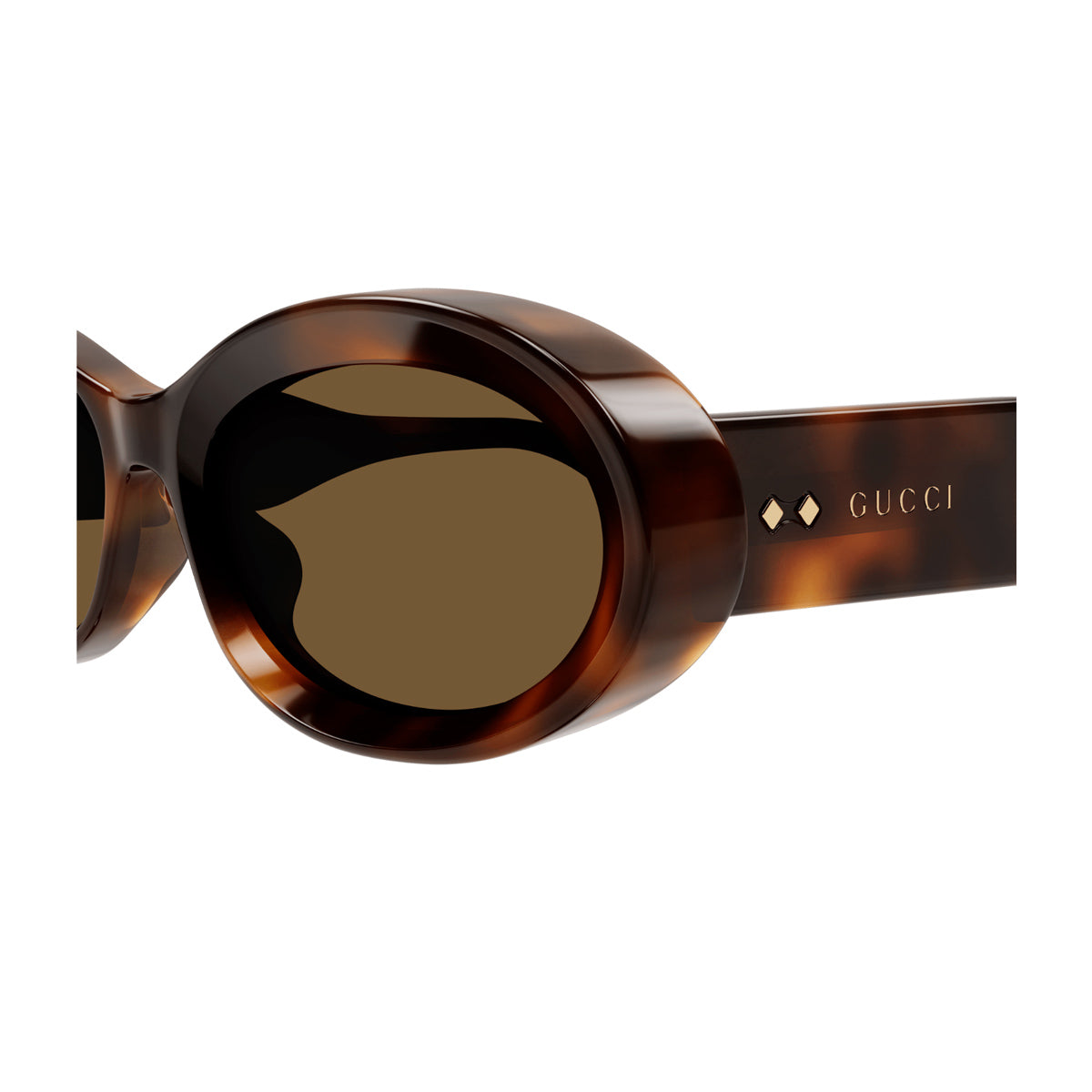 GG1527S 002 Marrone Acetate Occhiali Sole